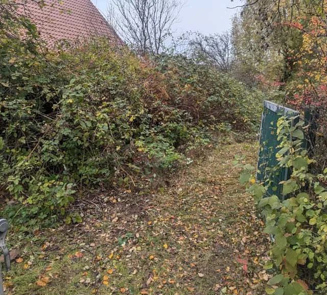 Hecken- und Baumschnittarbeiten