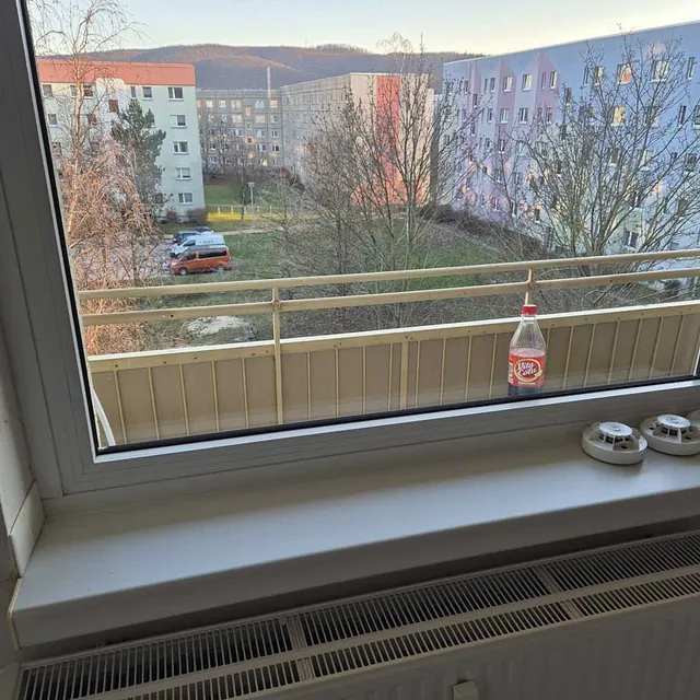 Entrümpelung einer Messiewohnung