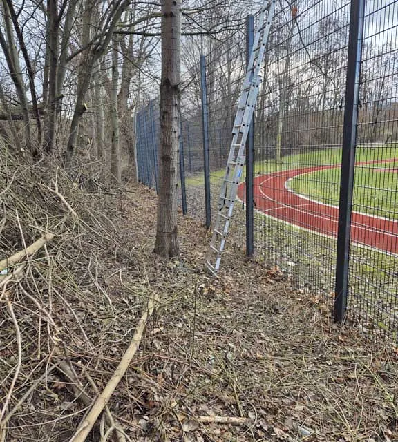 Hecken- und Baumschnittarbeiten