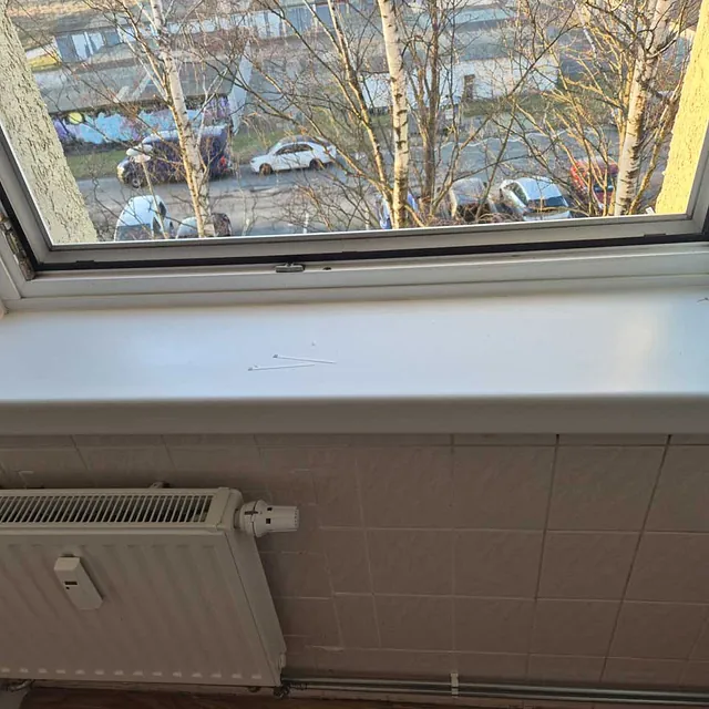 Entrümpelung einer Messiewohnung
