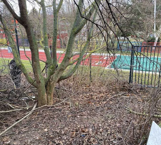 Hecken- und Baumschnittarbeiten