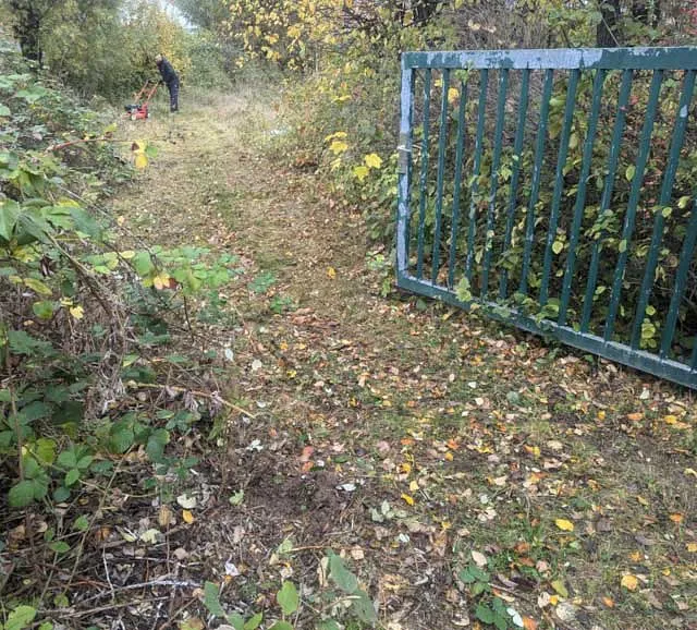Hecken- und Baumschnittarbeiten