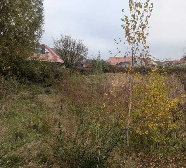 Hecken- und Baumschnittarbeiten