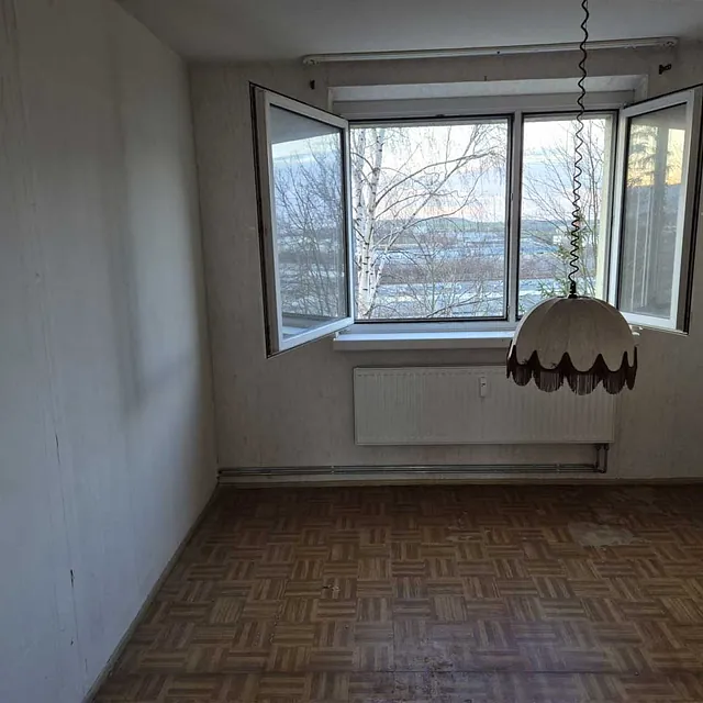 Entrümpelung einer Messiewohnung
