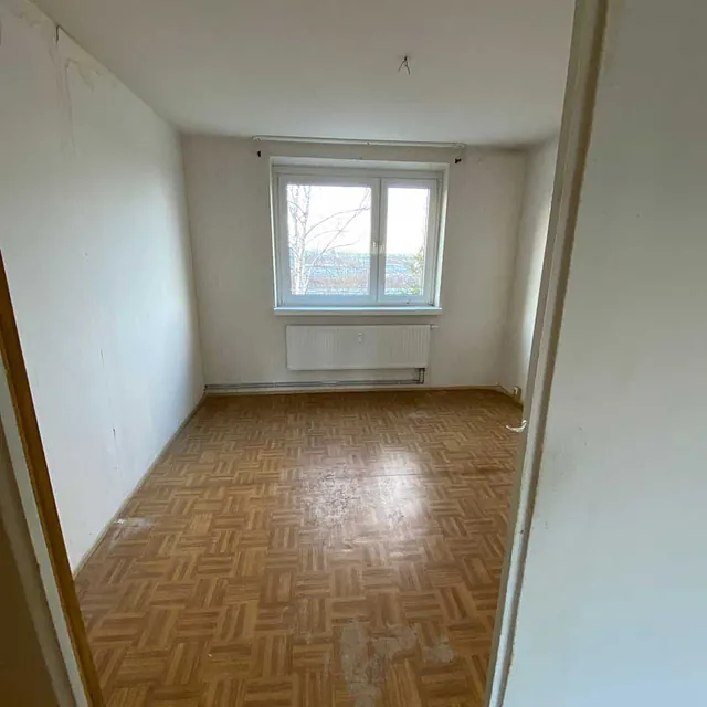 Entrümpelung einer Messiewohnung
